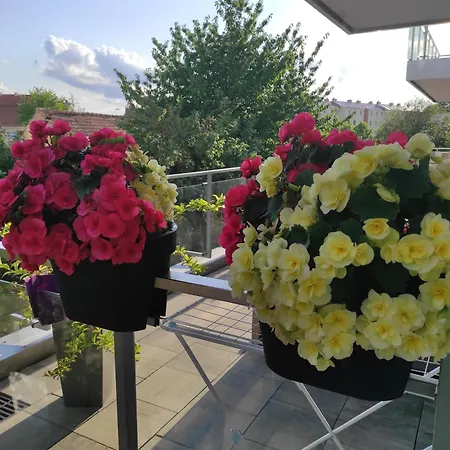 Lägenhet Mazurska Dama Luxury Giżycko